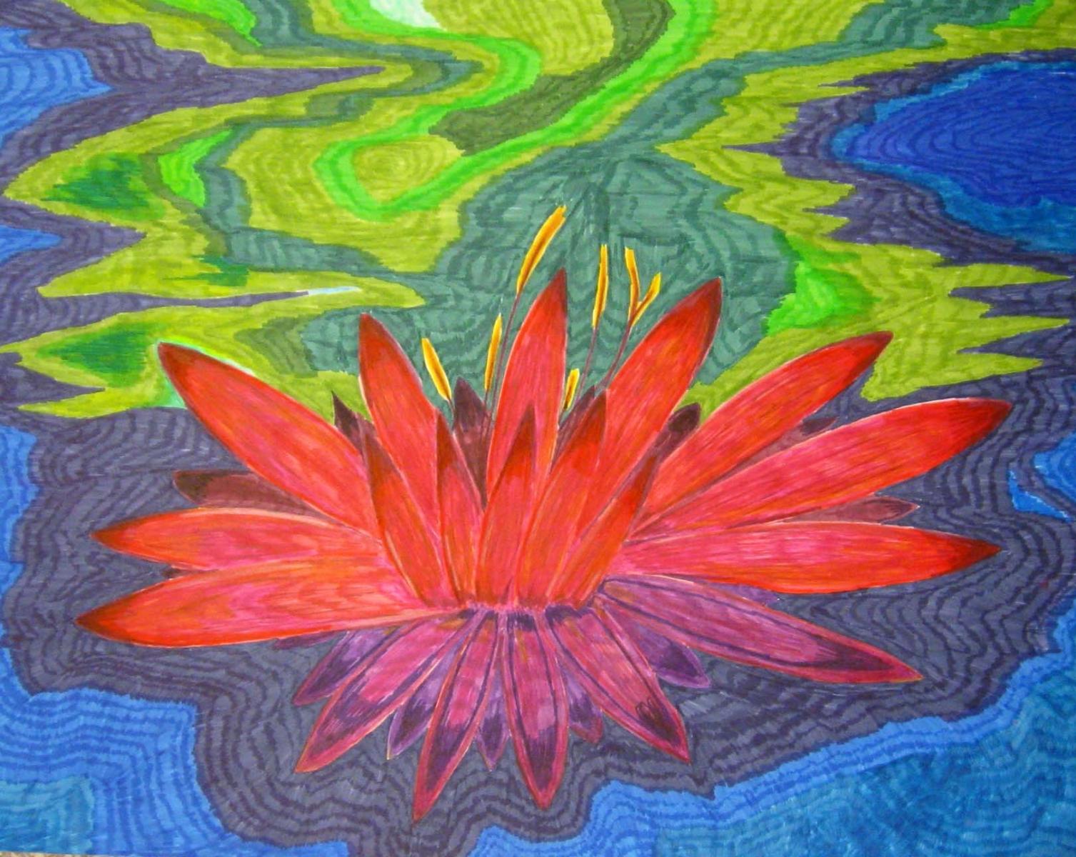 Lotus Flower, bright colors.