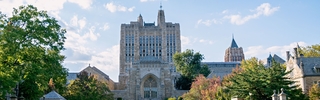 students gather outside to enjoy the beauty of Yale's campus