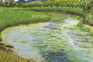 Small pond with grass and trees on both sides.