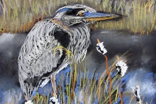 Bird by water and grass.